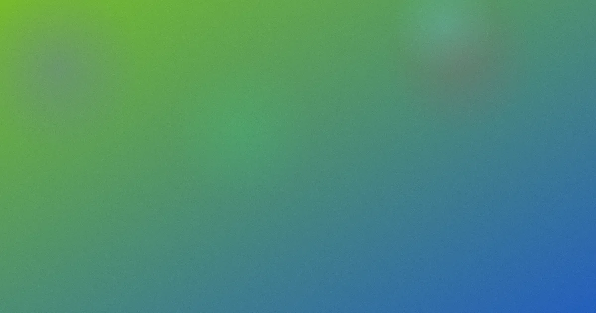 rara推荐：新手选哪种